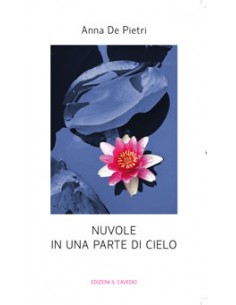 NUVOLE IN UNA PARTE DI CIELO