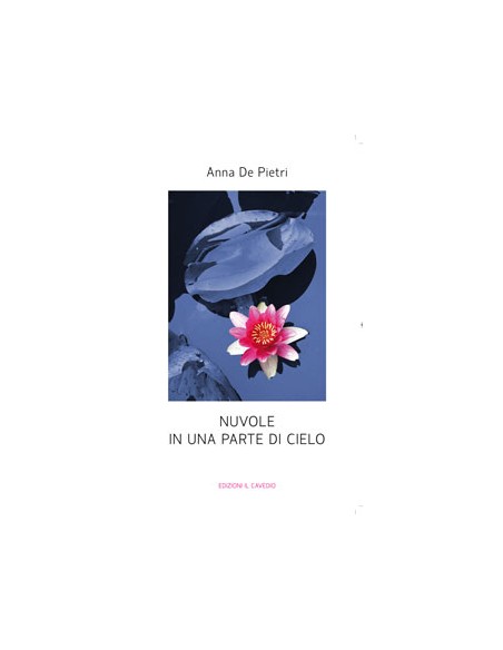 NUVOLE IN UNA PARTE DI CIELO