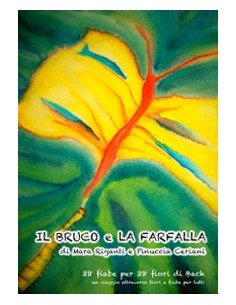 IL BRUCO E LA FARFALLA